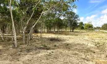 Imagem 6: ? ÁREA COM 5.000 MIL METROS QUADRADOS - ESQUINA, AVENIDA PRINCIPAL JÁ CERCADA!