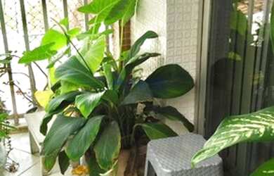 Imagem 6: Rio de Janeiro - Apartamento Padrão - Jardim Oceânico (Barra da Tijuca