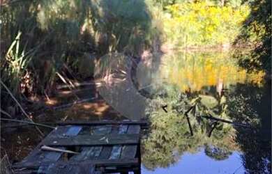 Imagem 2: Casa para locação na Serra da Cantareira