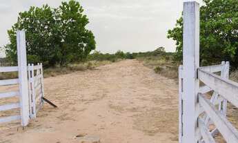 Imagem 2: Sítio com 2 quartos, igarapé