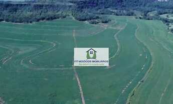 Imagem: FAZENDA SANTA HELENA 104 ALQUEIRES EM PRATA