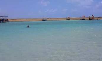 Imagem 13: Alugo casa na praia de Patacho em Porto de Pedras