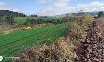 Imagem 3: Sitio de 5 alqueiro planta 4 regiao de Asai-pr