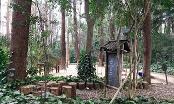 Imagem 5: Oportunidade imperdível