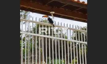 Imagem 4: Casa - Sousas - Campinas