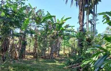 Imagem 7: Chácara Chácara com venda por R$142.000