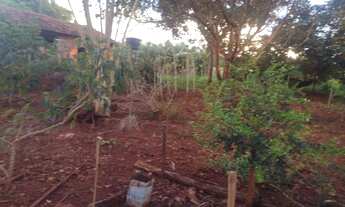 Imagem 5: Chacara de 9 Hectares. Banhada pelo Rio Jatobá