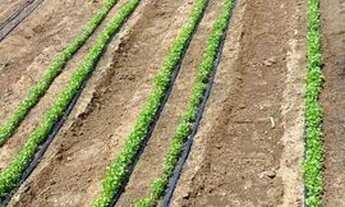 Imagem 2: Vendo uma linda chácara