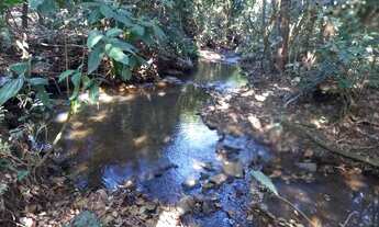 Imagem 3: Vende-se uma chácara em Heitorai-GO