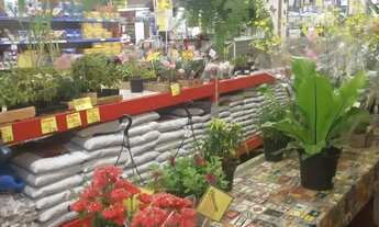 Imagem 6: 133 MERCADO GUARULHOS