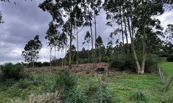 Imagem 4: Terreno com vista espetacular em Santo Antônio da Patrulha RS