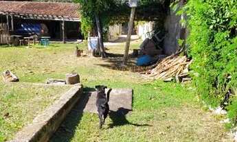 Imagem 4: Chácara - Chácara Santa Margarida - Campinas