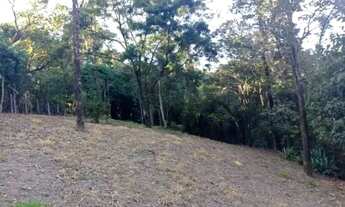 Imagem 2: Excelente lote no Condomínio Vale do Ouro