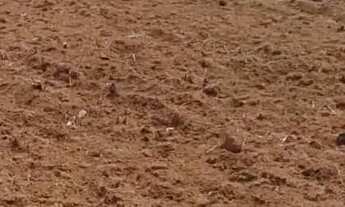 Imagem 6: VENDE-SE TERRENO CORUMBÁ 4 - CONDOMÍNIO RECANTO DO PESCADOR 1