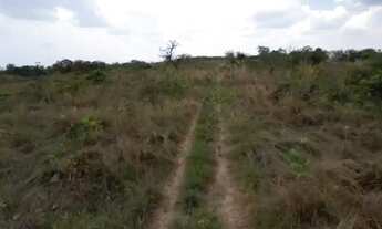 Imagem 2: VENDO FAZENDA MUNICÍPIO DE POCONÉ REGIÃO SANGRADOURO