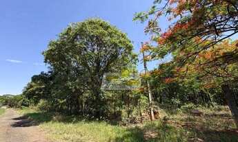 Imagem 4: Chácara com 1 dormitório à venda, 2275 m² por R$ 210.000,00 - Maracanã - Uberaba/MG