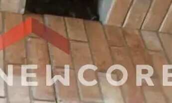 Imagem 5: Chácara em H - Campo Alegre - Esmeraldas/MG