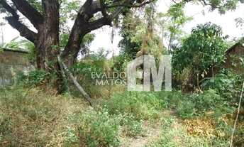 Imagem 3: Lote à venda, Matinha - Teresina/PI