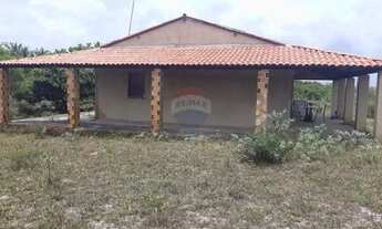 Imagem 4: Terreno de 1200m² para Sua Casa dos Sonhos