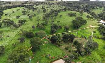 Imagem 4: Fazenda 25 alqueires px Anápolis