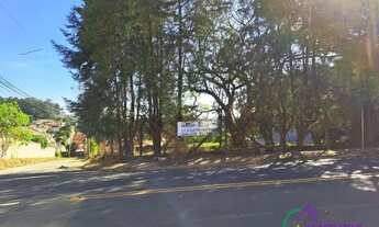 Imagem 3: TERRENO - CHÁCARAS SILVANIA - SP