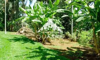 Imagem 4: Chácara à venda, Chácaras Americanas, Anápolis, GO