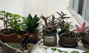 Imagem 6: Apartamento de 3 dormitórios no Centro de Florianópolis