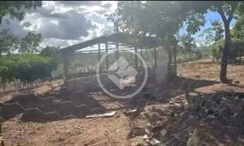 Imagem 5: Vendo Chácara de 3,5 hectares na estrada do Peba comunidade do Zélito em Chapada dos Guima