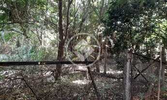 Imagem 7: Sitio a Venda no Bairro Doutor Lund codigo: 152705