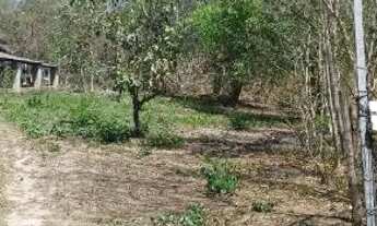 Imagem 3: CHÁCARA SONHO EM CALUGE ITABORAÍ - 3.780m² com CASA + ESCRITURA venda valor 200.000,00