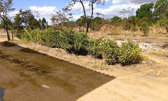 Imagem 7: Chácara 5.000m² vale verde