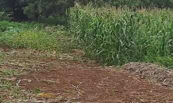 Imagem 6: Terreno com 3.170m2 bairro nobre