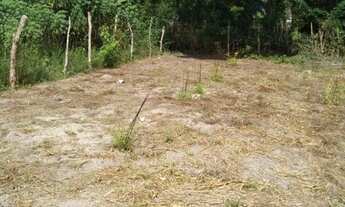 Imagem: Terreno na nova conquista