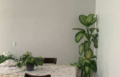 Imagem 7: Apartamento mobiliado