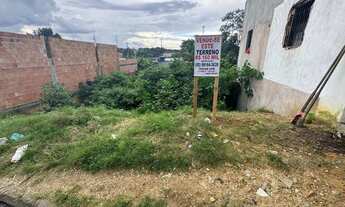 Imagem 5: Terreno para venda de esquina em Tarumã - Manaus - AM