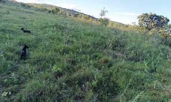 Imagem 5: Fazenda a venda na região de Serra Bonita/ Coopago no município de Buritis