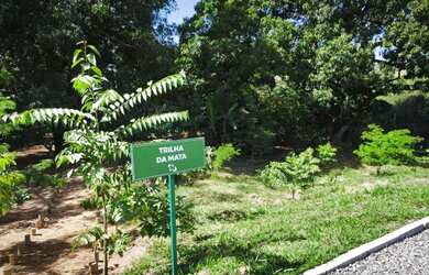 Imagem 6: Terreno de 257,95 m² à venda, por R$ 322.437.50 no Jardins Versalhes - Aparecida de Goiâni