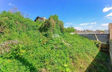 Imagem 3: Imóvel para venda tem 380 metros quadrados em Pilarzinho - Curitiba - PR