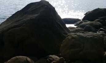 Imagem 2: Terreno na ilha grande Provetá