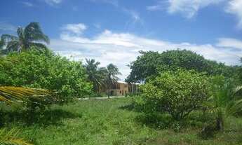 Imagem 7: Fazenda 250 ha margem CE040, Beberibe,70km de Fortaleza