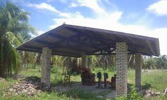 Imagem 2: Fazenda 250 ha margem CE040, Beberibe,70km de Fortaleza