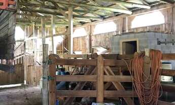 Imagem 7: Sítio em Urubici/área comercial/terreno urbano lote