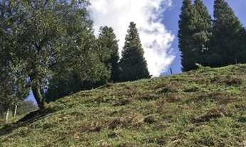 Imagem 2: Sítio em Urubici/área comercial/terreno urbano lote