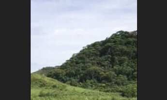 Imagem 4: Lote de 1.000m2 na serra da mantiqueira