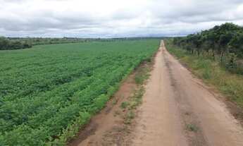 Imagem: FAZENDA DE SOJA EM GRAJAÚ