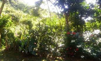 Imagem 2: Casimiro de Abreu - Casa Padrão - Outros