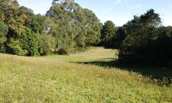 Imagem 4: Areá 84.000,00 m² CIC