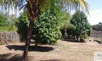 Imagem 2: Ilhéus - Terreno à venda, Olivença - Bahia