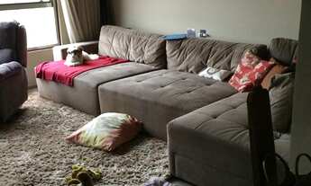 Imagem 2: Apartamento com 2 dormitórios à venda, 70 m² por R$ 780.000,00 - Vila Leopoldina - São Pau