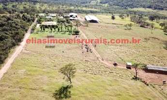 Imagem 6: Fazenda 11,26 alqueires - Pecuária leiteira - Uberlândia